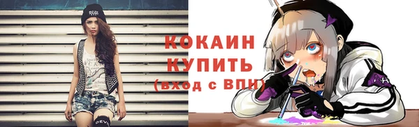 ПСИЛОЦИБИНОВЫЕ ГРИБЫ Коряжма