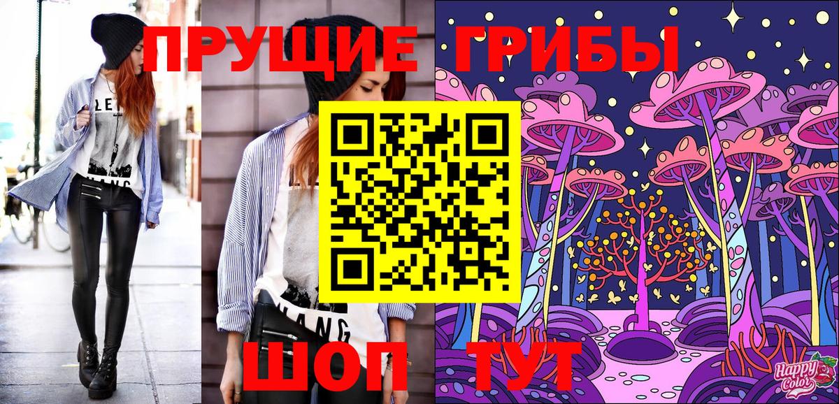 Сосновоборск  Псилоцибиновые грибы мицелий  Псилоцибиновые грибы MAGIC MUSHROOMS  Вход с VPN 