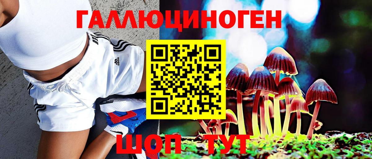 Галлюциногенные грибы MAGIC MUSHROOMS  Псилоцибиновые грибы Cubensis  Сосновоборск 