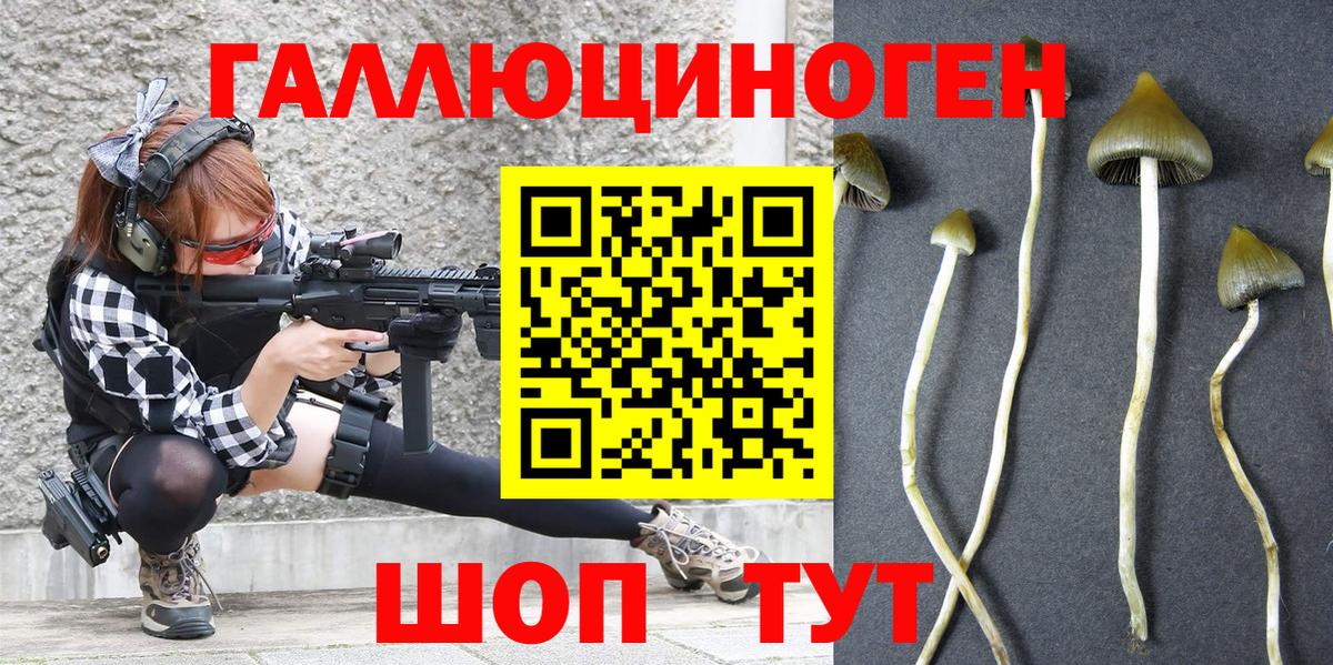 Псилоцибиновые грибы ЛСД Сосновоборск